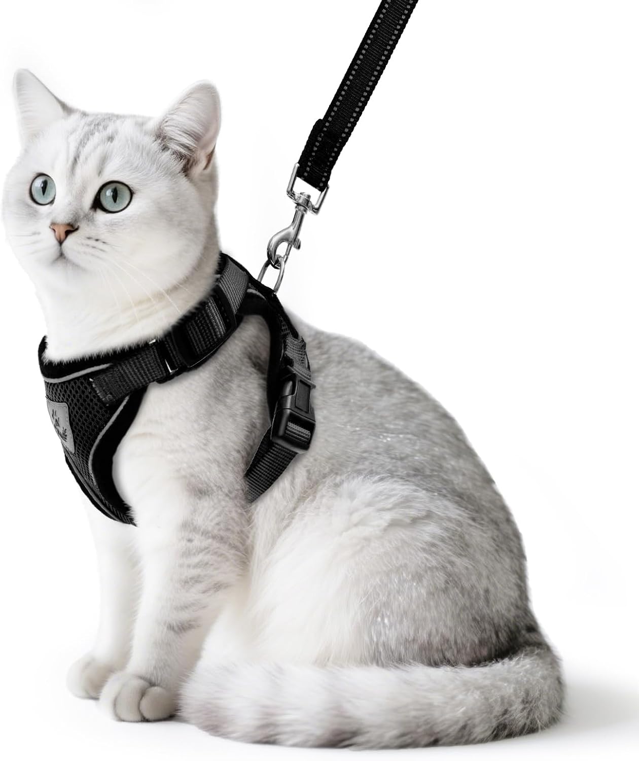 PUPTECK Cat Harness and Leash Set Escape Proof Reflective Cat Walking Harness Adjustable Soft Breathable Mesh Vest for Small Pets, Black, M
