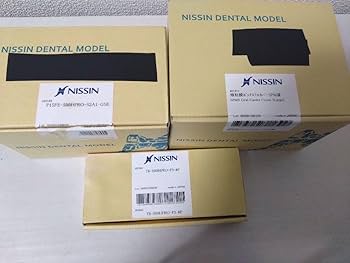 Amazon.co.jp: ニッシン 歯科模型 額模型 顎模型 歯科衛生士