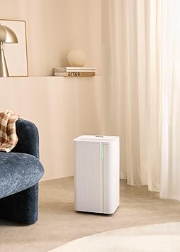 Foto del Deshumidificador