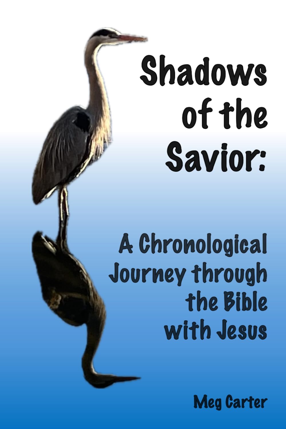 Shadows of the Savior: A Chronological Journey through the Bible with Jesus