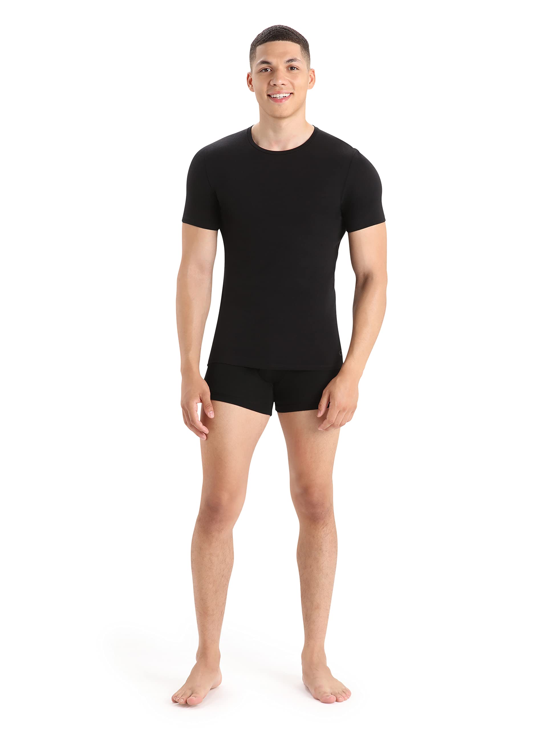 Icebreaker Anatomica T-Shirt Homme