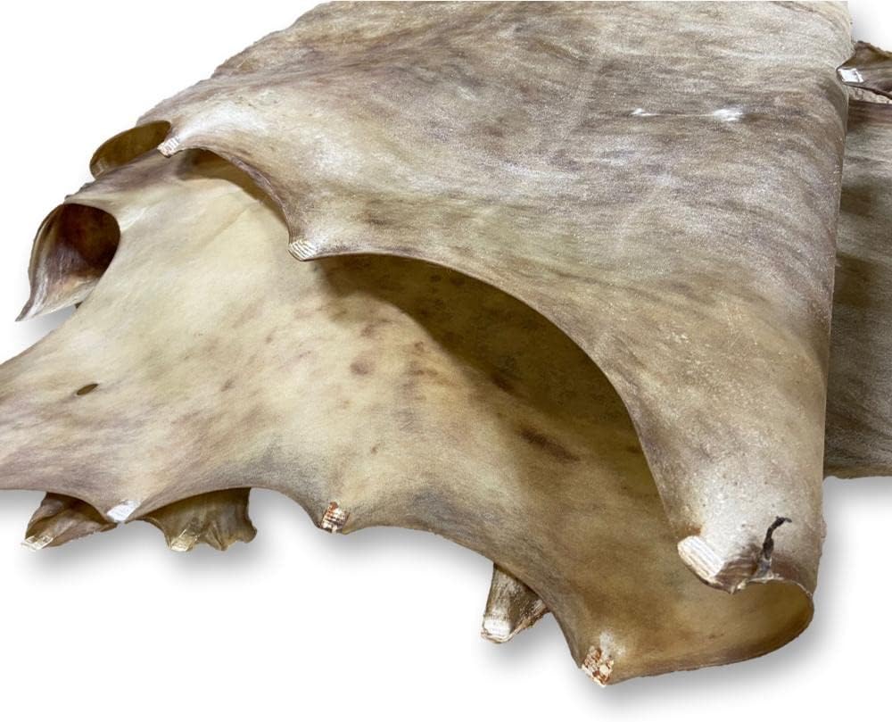 Cow Rawhide Hide Dehaired Leather Cow Skin for Leather Craft Projects - Large 5 to 6 oz