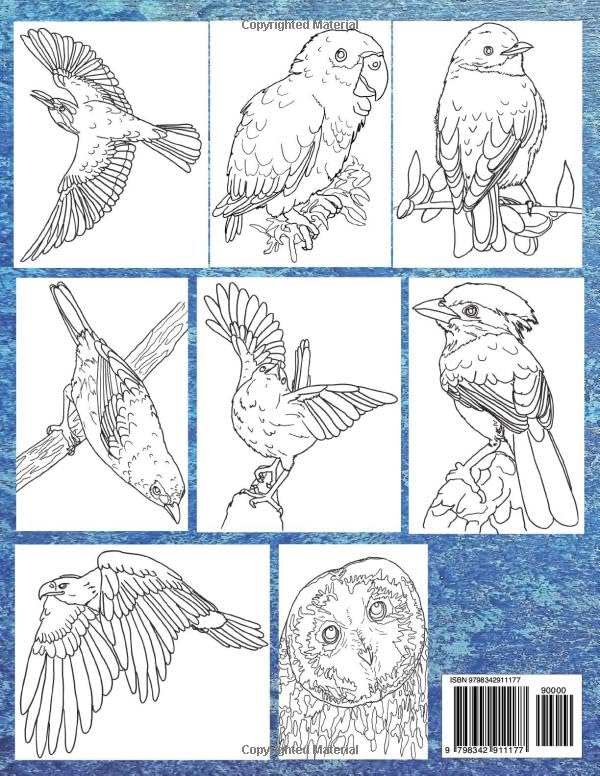 B00pable Sn00ts Avian 7: 25 Original Illustrations of Birds Coloring book image 3