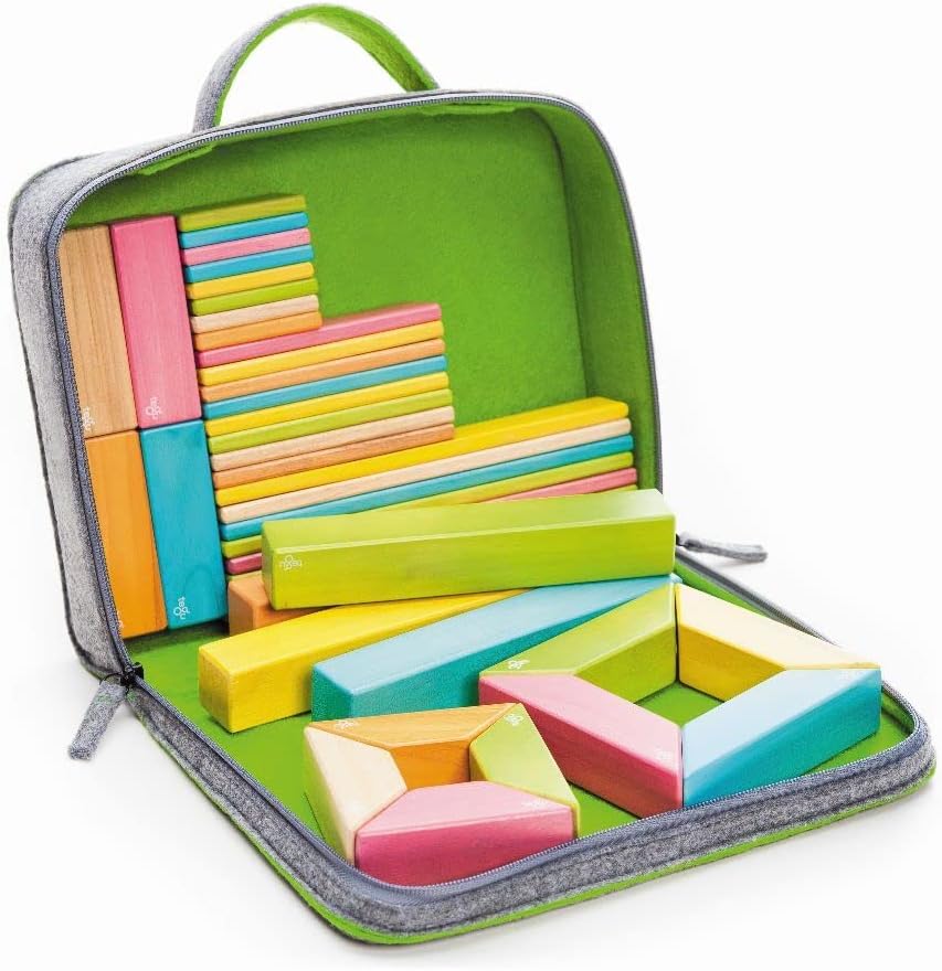 The Tegu Travel Tote