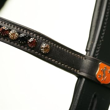 Snaffle Soleste Diamond M Thoroughbred