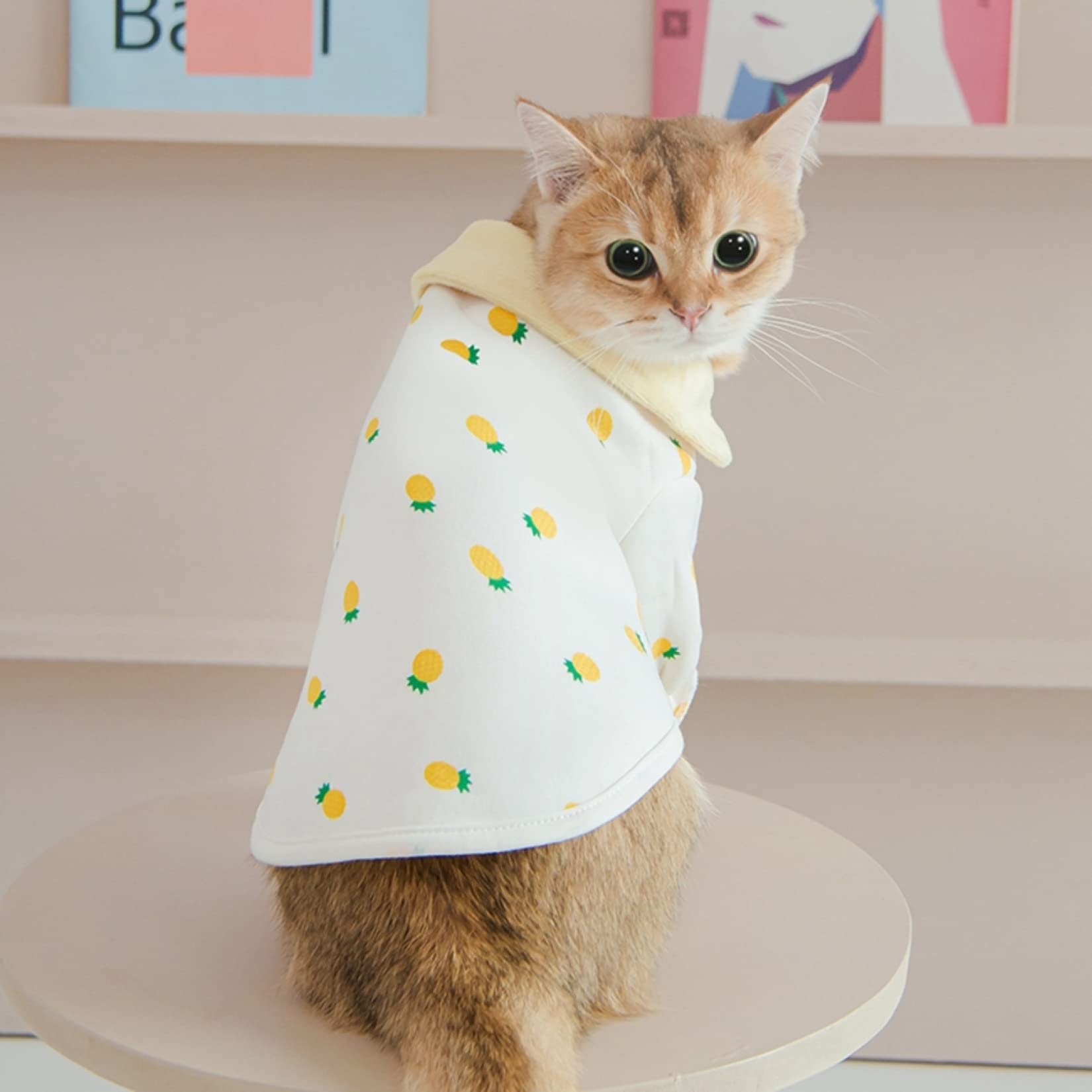 Amazon | ペット服 猫服 パーカー コート 秋冬 あたたかい フリース