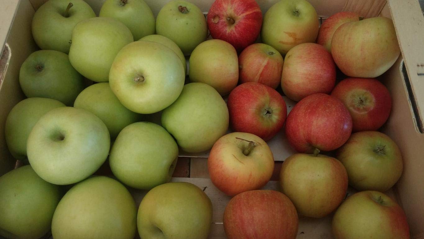Caja Todo Manzanas MINI 3,5 kilos - Producción propia Venta directa Producto fresco