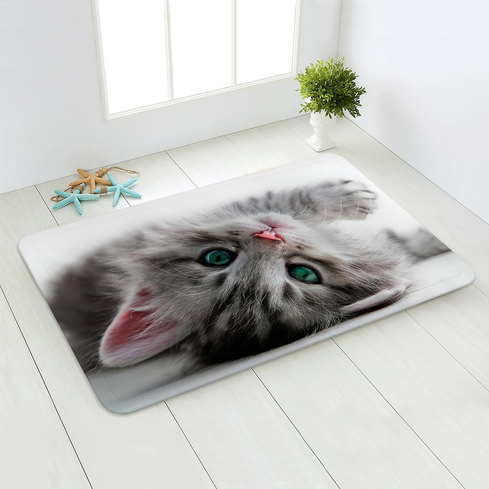 Fußmatte Grüne Graue Katze Rugs for Living Room Polyester Verdicken Fussmatte Aussen Teppisch Waschbar Teppich Wohnzimmer Schmutzfangmatte Fussmatte Fußmatten Haustür Doormat Außen Innen 120x160cm