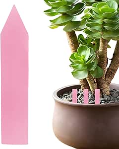 Plantenlabels 10 Cm 25 Stuks Soort Tuingereedschap Kweek En 10 Cm 25 Stuks Zijn Geschikt Voor Gebru 8712448420952