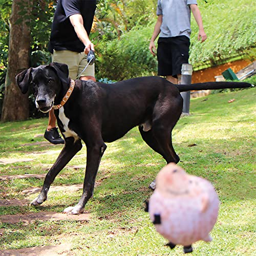 MIMO Guia Retrátil Mimo Conceito Smart Walk Sistema Abs Emborrachada Fita 4M Até 40Kgs Tam. G Preto