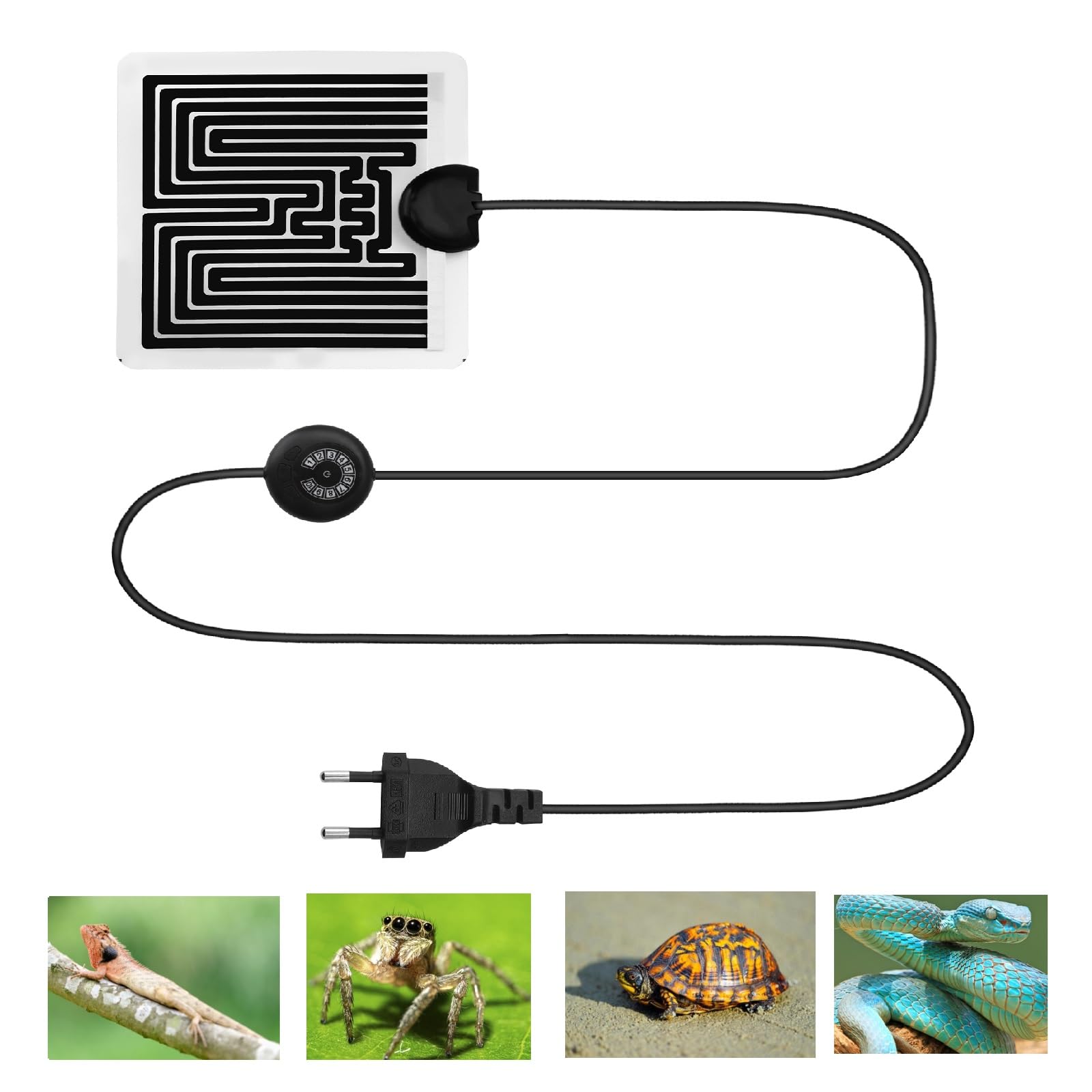 HENGBIRD Terrario con regulador de temperatura de 10 niveles, para tortugas, lagartos, serpientes, arañas, orugas, 5 W, 15 x 14 cm