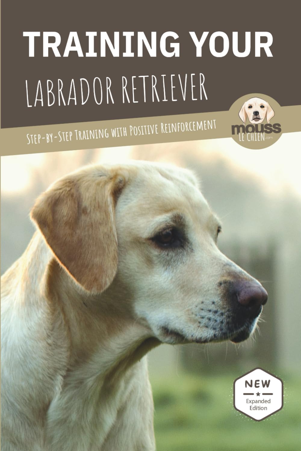 TRAINING YOUR LABRADOR RETRIEVER: Step-by-Step Training with Positive Reinforcement