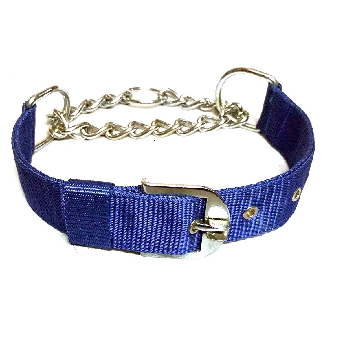 See full amazon price history chart for MS Petcare Dog Choke Pet Nylon Half Chain Collar Half Choker Stainless Steel Dogs Collars (Width- 0.75In Neck Size 18" to 22" Inch, Blue Color) for Small & Medium Breed Dogs MS Petcare Dog Choke Pet Nylon Half Chain Collar Half Choker Stainless Steel Dogs Collars (Width- 0.75In Neck Size 18" to 22" Inch, Blue Color) for Small & Medium Breed Dogs (B08PT6Q9H5) Amazon Price History, Amazon Price Tracker