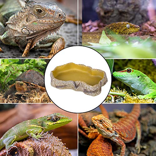 REPTIZOO Reptile Food Dish Terrarium Water Bowl Food Feeding Bowl for Reptile Amphibian Pets Snake Tortoise Frog Ball Python Leopard Gecko Bearded Dragon, Medium Size 5.3" x 7.6" x 1.6"