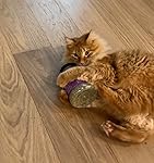 Review Image by McCall R