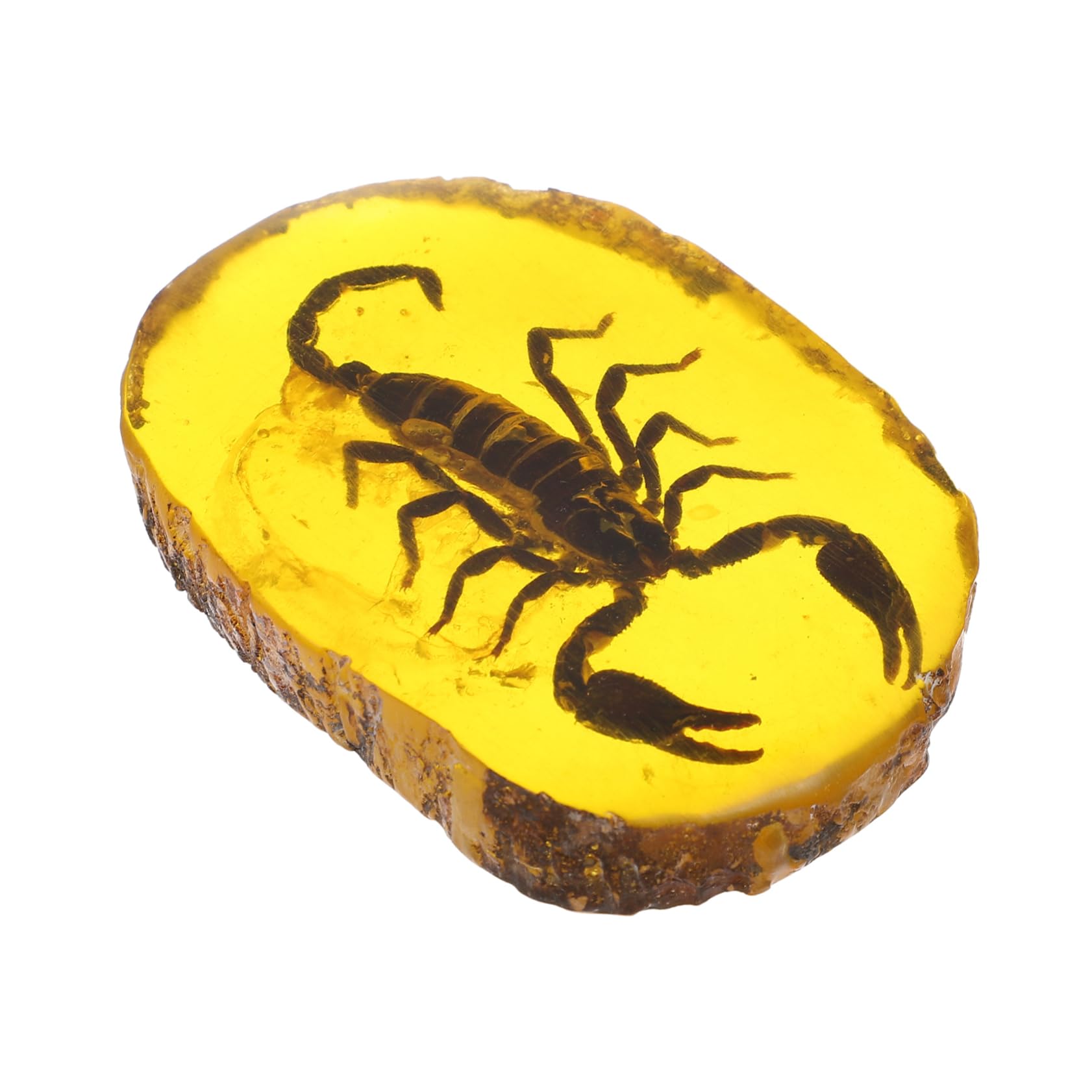 5 Fossili D'Ambra Con Insetti - Campioni Da Collezione, Con Sacchetto Regalo - Foto 7