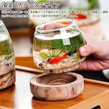 丸型の陶器の水槽　金魚・メダカ・インテリアに 和&アジアンテイスト 丸型の陶器の水槽 金魚・メダカ・インテリアに 和&アジアン