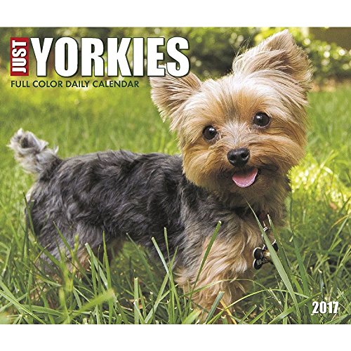 Just Yorkies 2017 Box Calendar (Dog Breed Calendars)