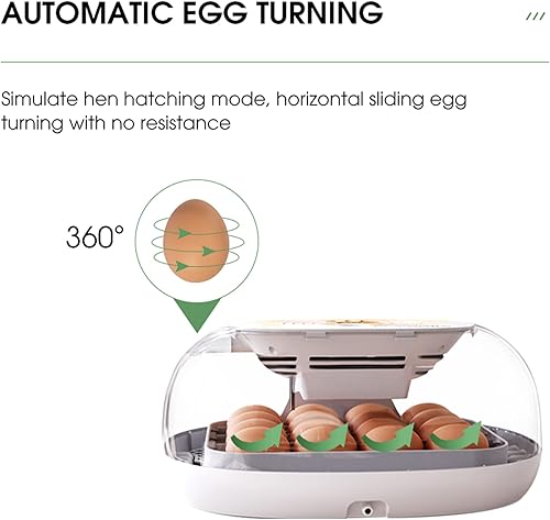 Miniatura 7 de Incubadora de huevos con pantalla de humedad, girador automático de huevos, vela LED de huevos, incubadora de huevos de 360  vista clara, adición