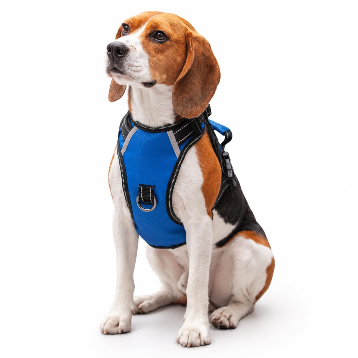 Arnés para Perros sin tirones, arnés Reflectante para Mascotas con 2 Anillos de Metal y Mango de fácil Control, Chaleco Ajustable para Mascotas para Perros medianos, Azul, M