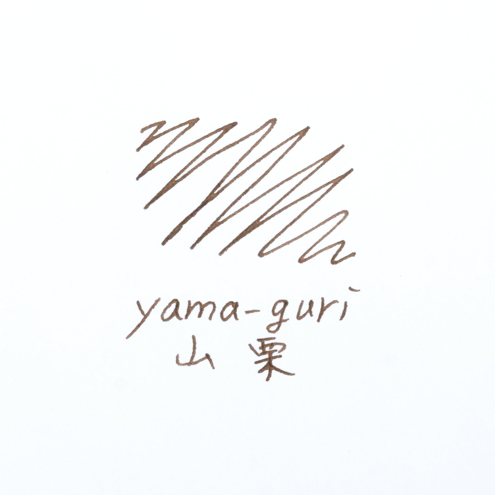Pilot Iroshizuku Fountain Pen Ink - Butelka 50 ml - Yama-guri Wild Chestnut (Dark Brown) (japan import)