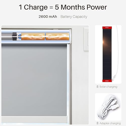 Miniatura 2 de JaeJaes Persianas enrollables motorizadas con control remoto, persianas automáticas de ventana inalámbricas, compatibles con Alexa y Google Home