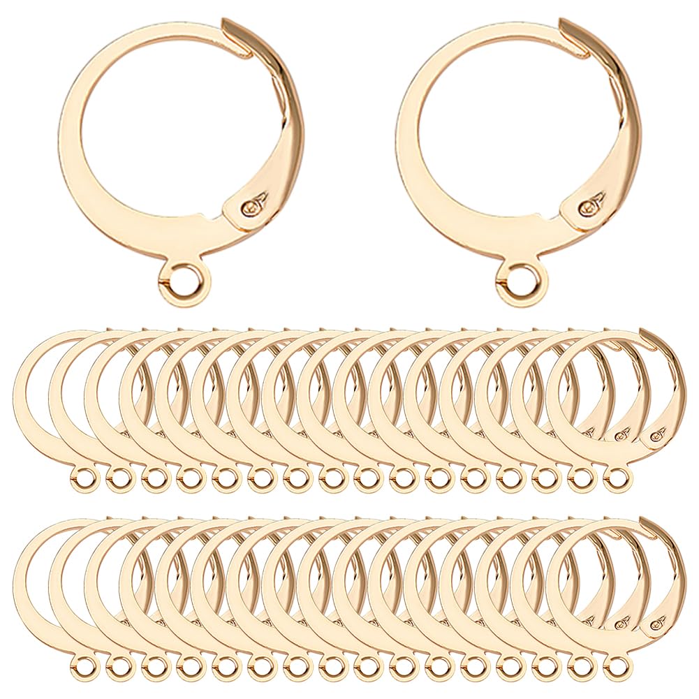 SUNNYCLUE 1 Box 80Pcs Leverback Earring Hooks Real 18K Gold Plated Stainless Steel Huggie Hoop Round Leverbacks Earwires Lever Back Hoops for Jewellery Making Earrings Backs Findings Adult 14.5mm