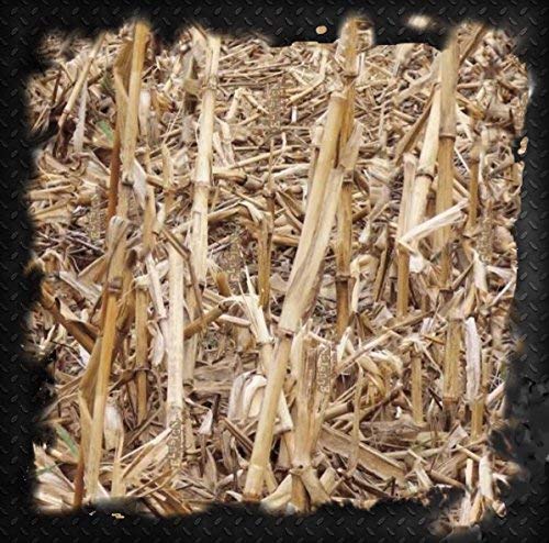 Bamboo Cornstalk Corn Field Brush Duck Blind Camo Camouflage Hydrographic Water Transfer Film Hydro Dipping Dip Demon Wizard Ape