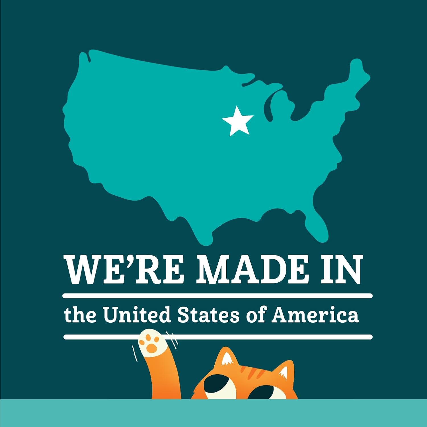 Breeder Celect® | 99% Recycled Paper Cat Litter Pellets | Highly Absorbent | Odor Control | Controls Odors Naturally | Natural and Nontoxic | Low Dust and Easy to Clean | 7 lb Bag 6 61CJgWdHuIL. AC SL1500