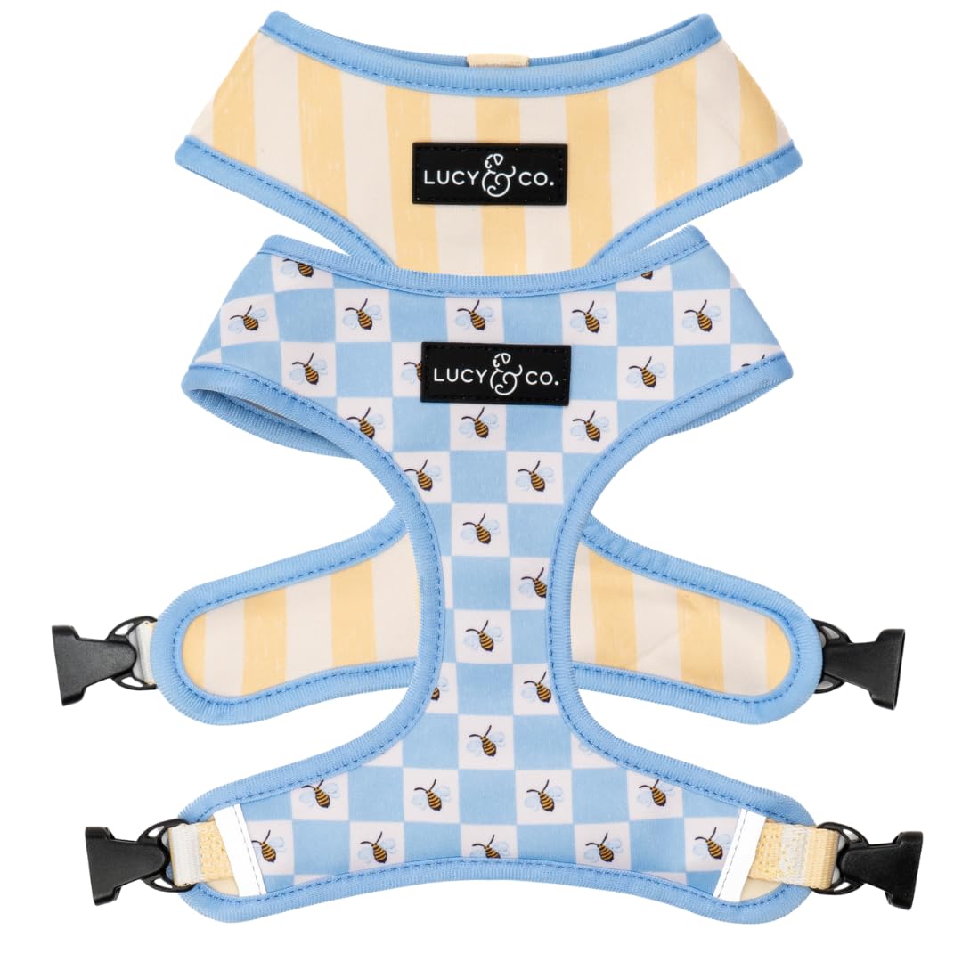 Lucy & Co. Bumbling Around Reversible Dog Harness, Adjustable Comfort Fit with Dual Leash Attachments, Small — image 1