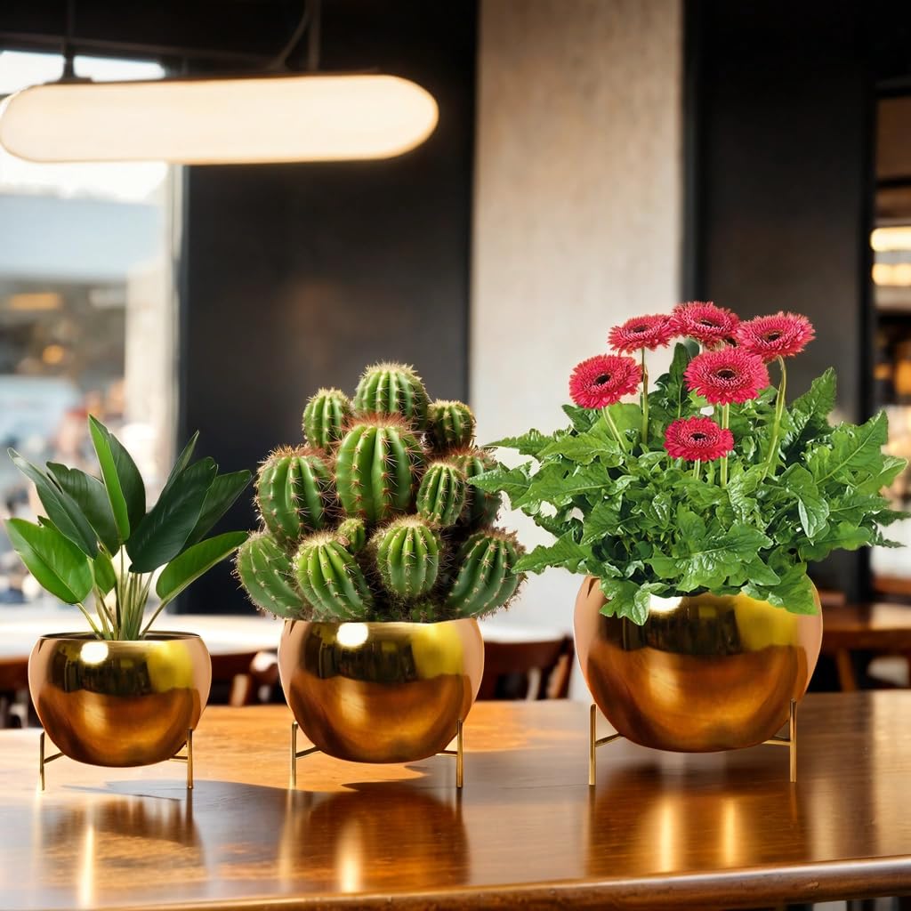 See full amazon price history chart for LAQA Metal Indoor Planter for Home Decor Golden Set of 3 (NO Plant Included) LAQA Metal Indoor Planter for Home Decor Golden Set of 3 (NO Plant Included) (B0D8JXCMXD) Amazon Price History, Amazon Price Tracker
