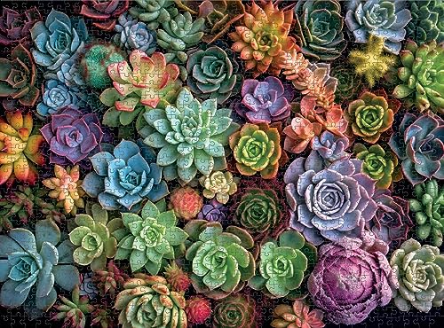 Succulent Symphony: Best 1000 Piece Jigsaw Puzzle for Adults, Premium Quality, Eco-Friendly - Image 4