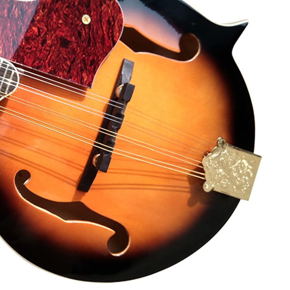 Mandolino singolo F-top fatto a mano, otto corde, con protezione, corpo sfumato marrone-nero, filo di acciaio a 8 fili, pannello in abete, custodia in ABS inclusa, adatto a principianti e professionis