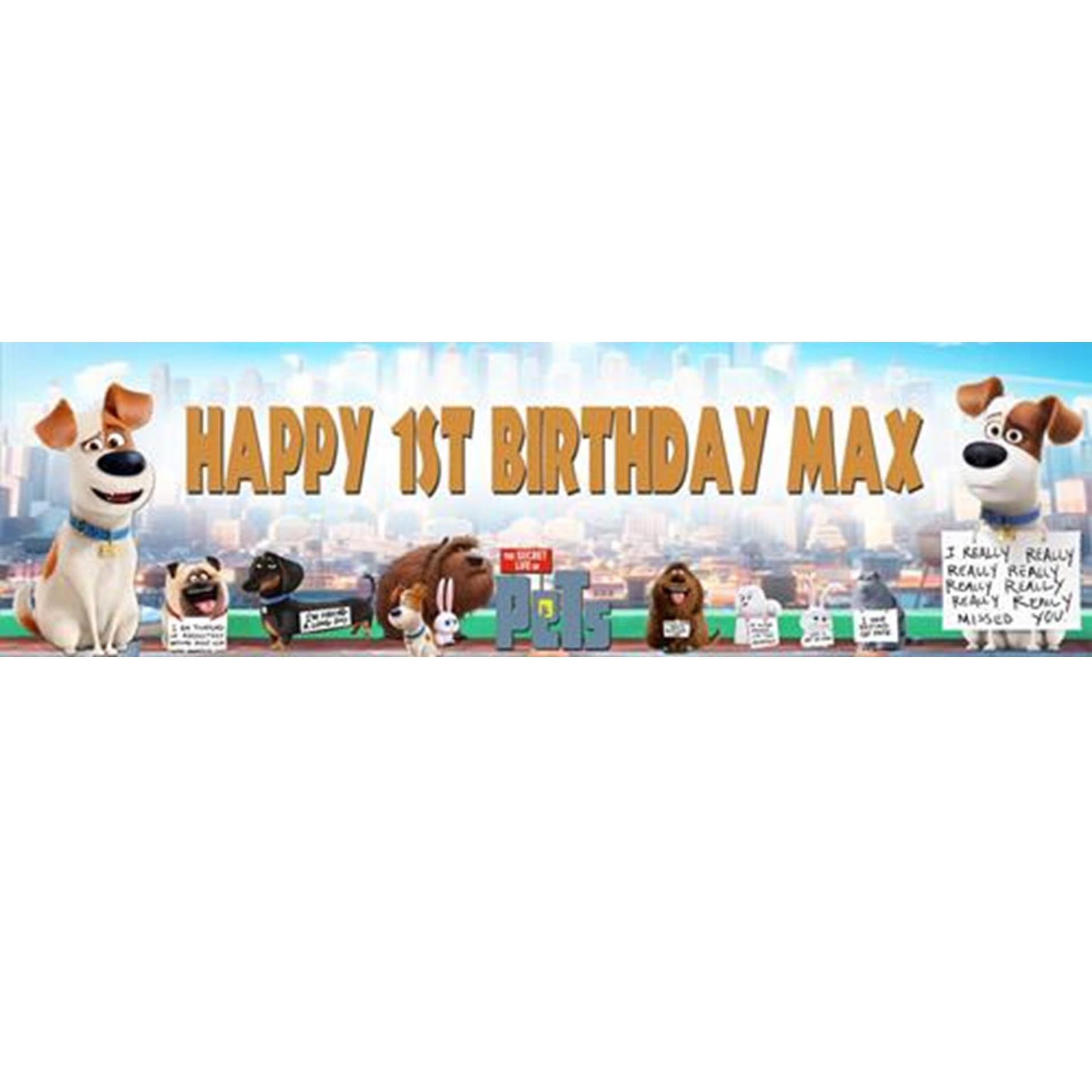 Secret-Life-of-Pet-Movie-#2 - Personalized Birthday Name Poster with Custom Name On it, Border Mat and Frame Options