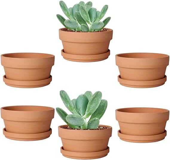 vensovo 3.7 Inch Terracotta Shallow Succulent Pot 6 Pack Terra Cotta Clay Pots