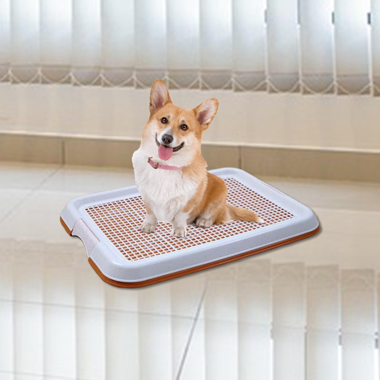 Support pour Tapis d'apprentissage de la propreté pour Chiots, bac à litière en pour Maille avec Base antidérapante, utilisable à l'intérieur comme l'extérieur