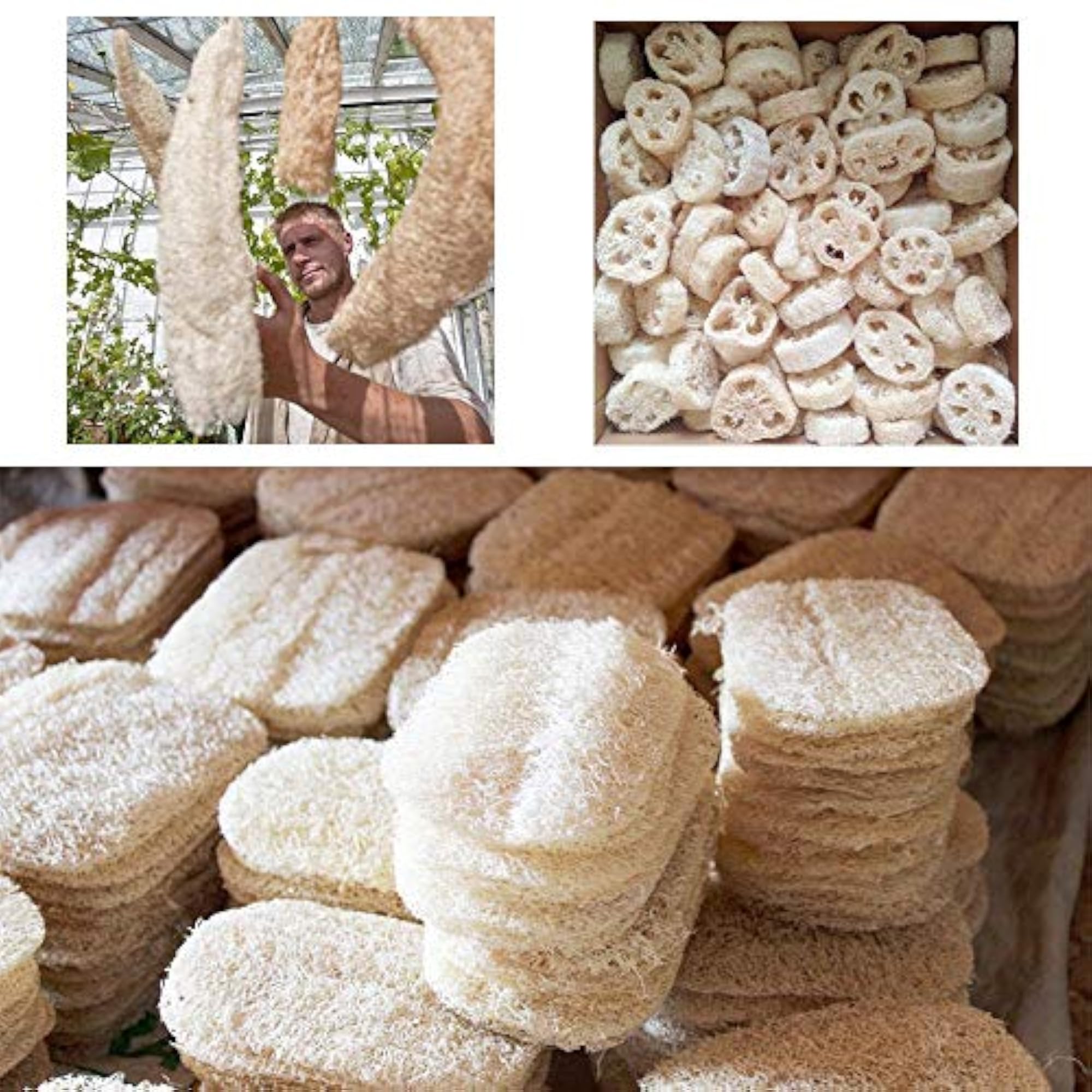 Loofa Sponge Luffa Scrubber Body Glove, Gift for Her