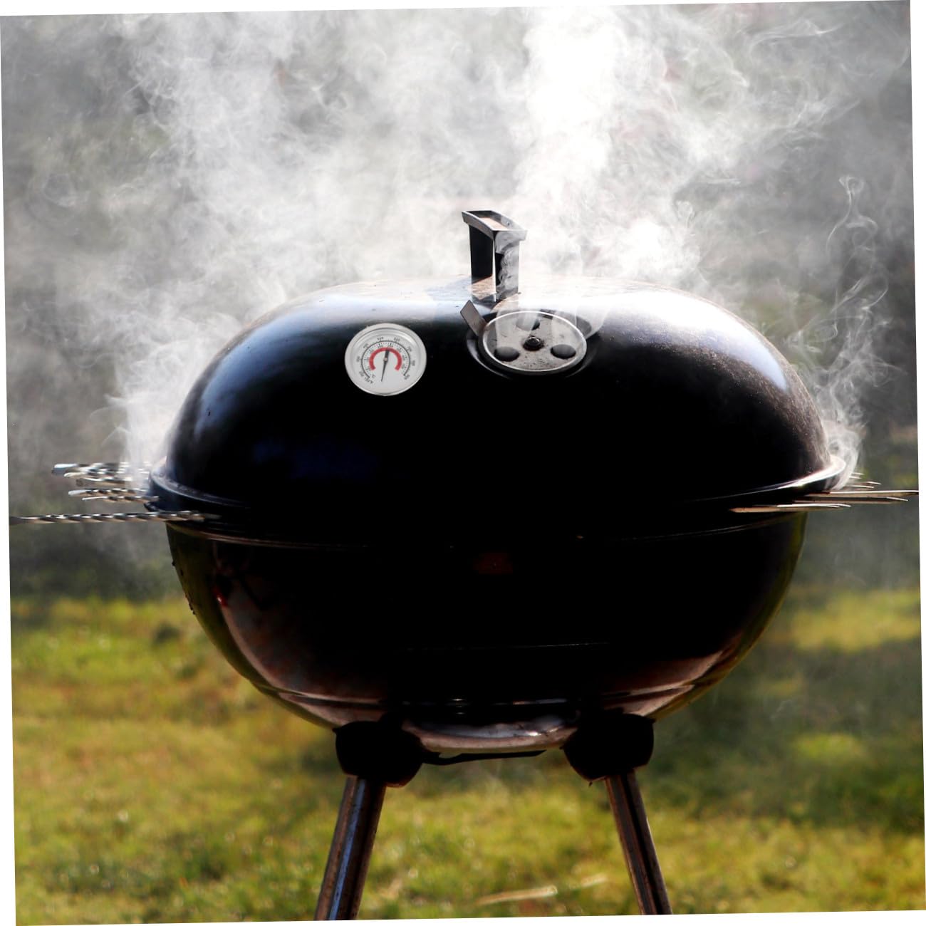 Sosoport 5 Stück Oven Thermometer Bimetallisches Thermometer für Grill und Backofen Temperaturbeständig für Bbq und Heimisches Präzise Temperaturmessung für Ergebnisse