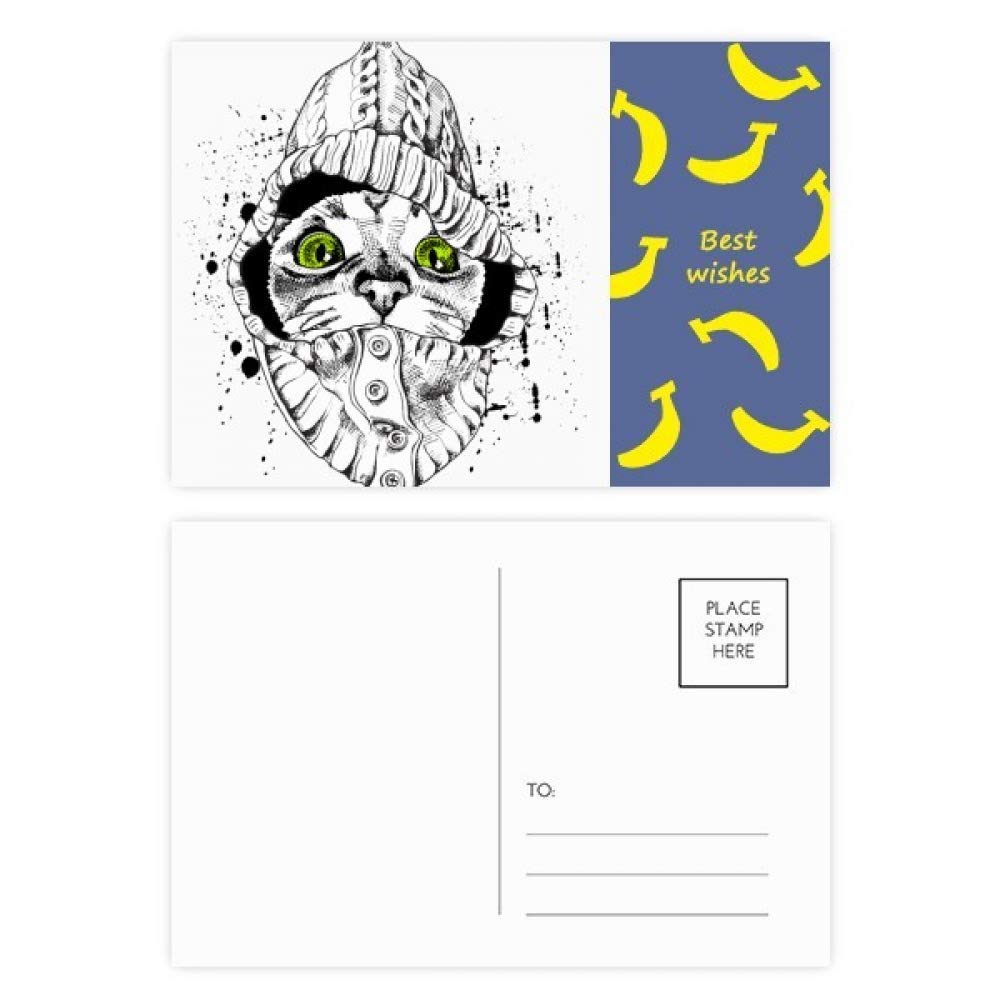 Set de cartes postales chat blanc et faune DIYthinker de 20 pièces