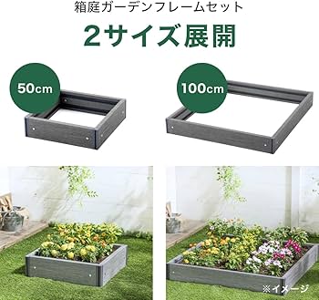 61CKJM8HvjL._AC_UF350,