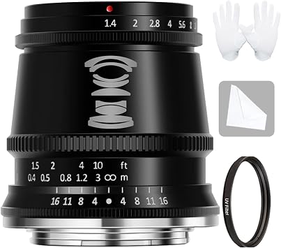 TTArtisan 17mm F1.4 Lens APS-C Manual Focus Wide-Angle Large Aperture Cameras Lenses for M43 Mount Cameras Like EPM1 EPM2 EPL3 EPL6 EPL9 E-P3 E-P5 E-P6 E-M1 E-M10 Pen-F E-M10IIIBlack