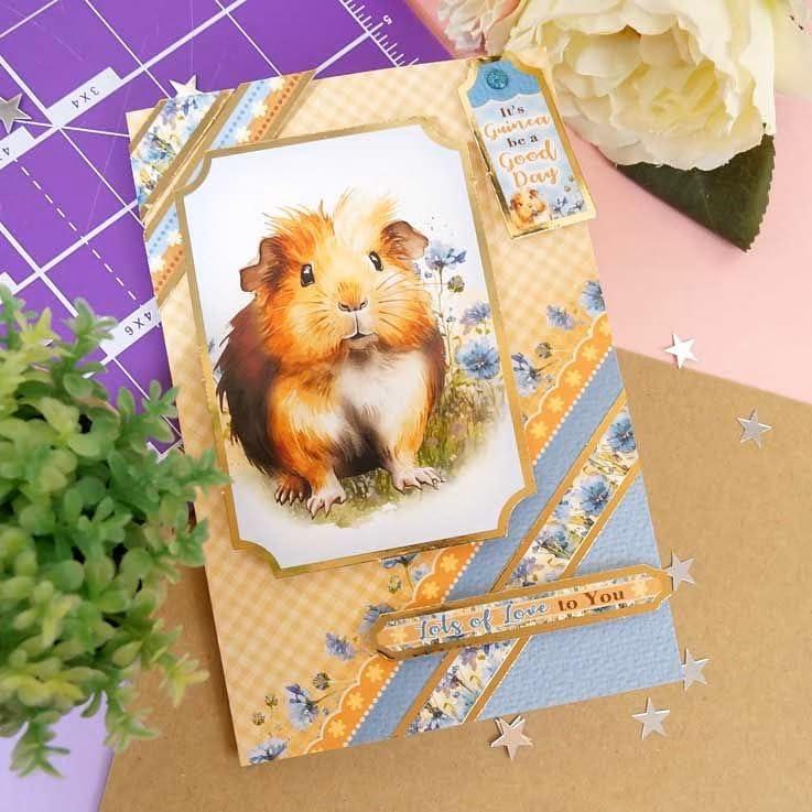 Hunkydory - Tarjetas rápidas: kit para hacer tarjetas (mascotas perfectas)