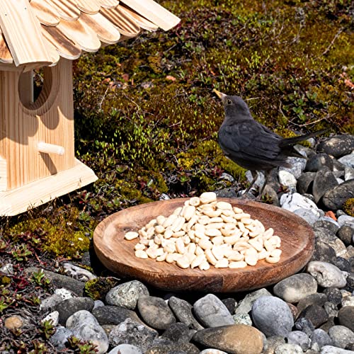 Lyra Pet® | 25 kg Erdnusskerne Splits | Wildvogelfutter Ganzjährig | Nährstoffreiches Streufutter | Energiespender für Alle Wildvögel | Erdnüsse ohne Schale | Vogelfutter für Sommer und Winter