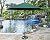 TropiShade 9 ft Bronze Aluminum Polyester Market Umbrella with Green Polyester Cover (Base not included)