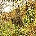 EAmber Ghillie Suit Gilly Hunting Suits Pants 3D Leaf Camo Camouflage Coveralls Youth Adult Lightweight Clothes for Halloween Party, Jungle Hunting, Shooting, Airsoft
