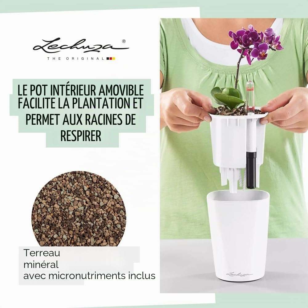 Lechuza – Pot de Fleurs d'Interieur – Deltini – Réserve d'Eau Intégrée – Coloris Taupe – Ø 14 x 18 cm
