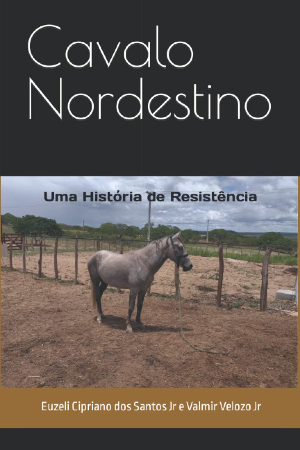 Cavalo Nordestino: Uma História de Resistência