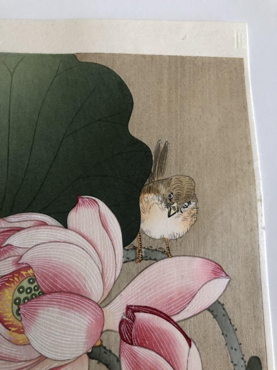 Amazon | 復刻版木版画 小原古邨 蓮に雀 花鳥画 新版画 小原祥邨
