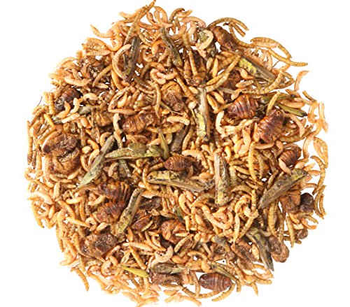 Dehner Aqua Teichfischsnack, Fischfutter Protein-Mix, Seidenraupen / Mehlwürmer / Gammarus / Heuschrecken, 200 g