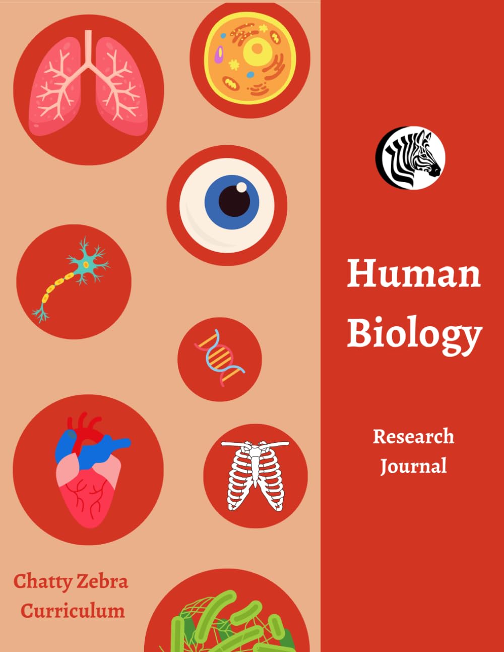 Chatty Zebra Curriculum - Human Biology Workbook: Science Activity Book - Home Education Open-Ended, Gently Guided, Human Biology Research Journal - ... Learning - Autism, ADHD, PDA friendly